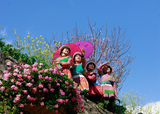 ThiÃªn ÄÆ°á»ng hoa ÄÃ o Äáº¹p cháº³ng kÃ©m Nháº­t Báº£n, HÃ n Quá»c lÃ  ÄÃ¢y chá»© ÄÃ¢u - áº¢nh 10.