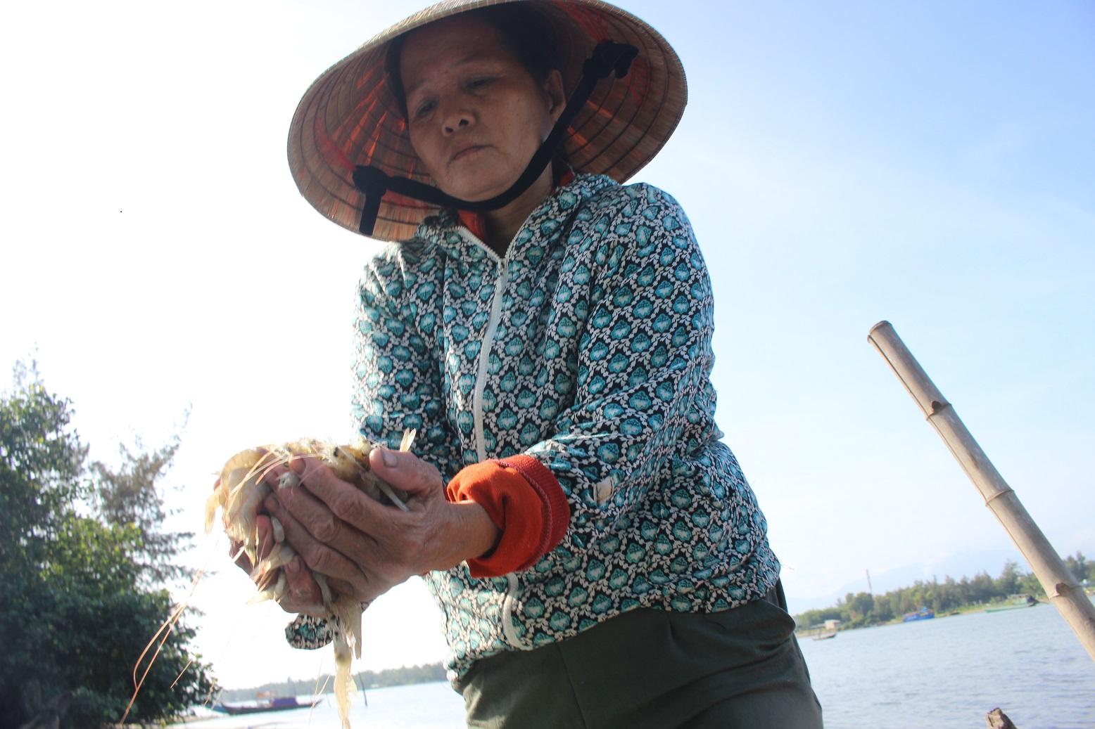 tôm-thả-gần-10-vạn-con-tôm-giống