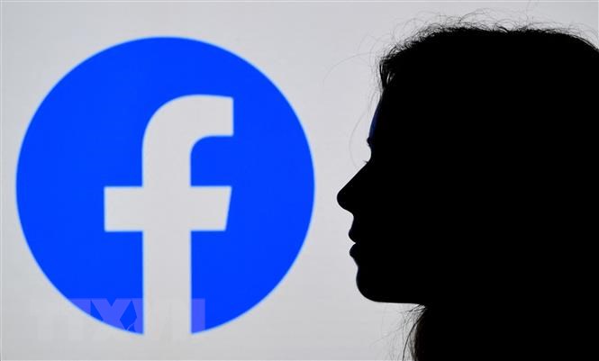 Facebook, Google doi mat cuoc dieu tra chong doc quyen cua EU va Anh hinh anh 1