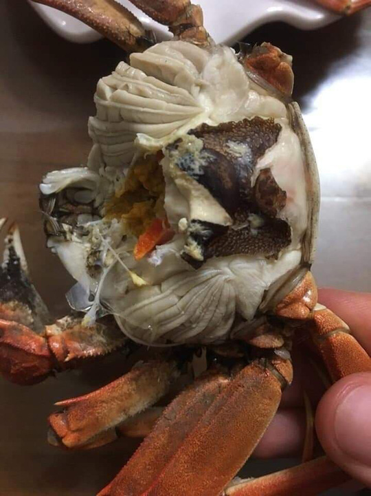 kỳ lạ dạc sản ngon hét nác cua da ỏ vùng que quan họ hinh anh 2