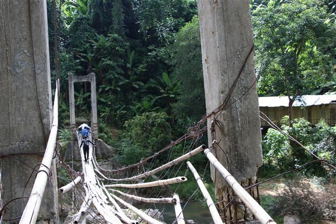 Vuot suoi, bang rung, thay co dua tung hoc sinh den lop hinh anh 2