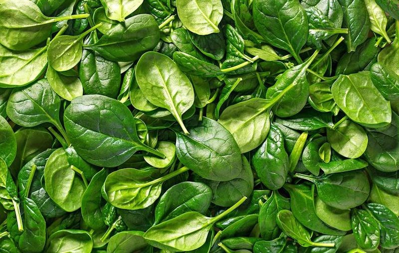 Tam loai thuc pham giup co the ban duy tri nang luong 24/7 hinh anh 8