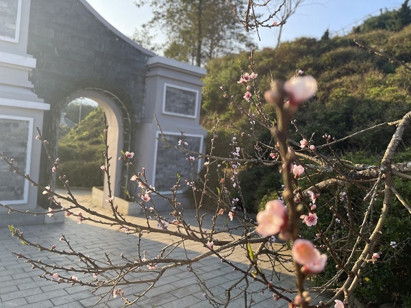 Mở cửa trở lại từ 3/12, Sun World Fansipan Legend có gì đãi khách?