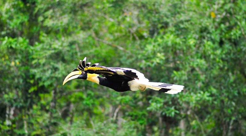 "Bách khoa hoang dã" đặc biệt nhất Việt Nam - Ảnh 3.