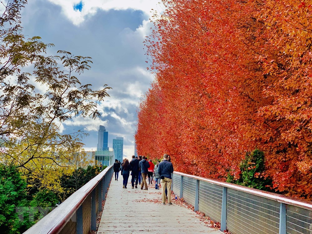 [Photo] Dam minh trong khong gian mua Thu vang o nuoc My hinh anh 12