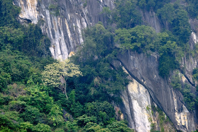 Thẳm Nàng Màn, hang động đá vôi triệu năm ở miền Tây xứ Nghệ - 5