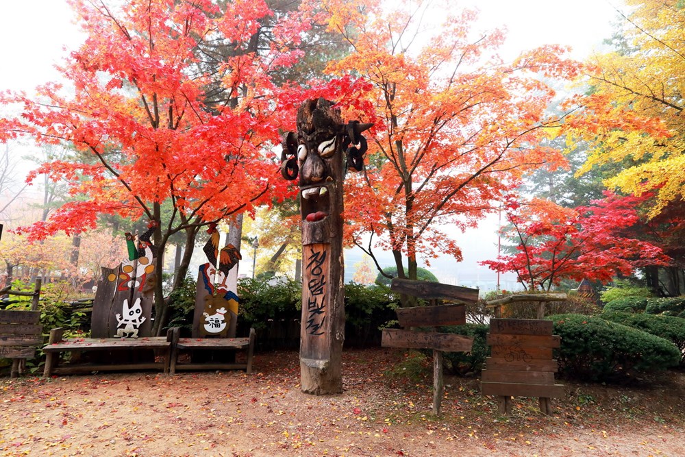 Han Quoc: Dao Nami tro thanh diem hut khach du lich thoi ky hau COVID hinh anh 15