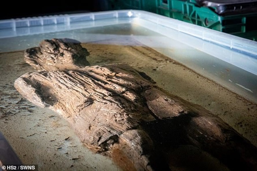 Việc phát hiện bức tượng gỗ thời kỳ La Mã được đánh giá là trăm năm có một. Ảnh: HS2/SWNS