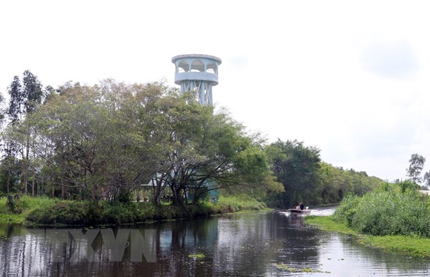Kiên Giang: Ngắm rừng U Minh Thượng qua Vọng Lâm Đài hình ảnh 2 kien giang: ngam rung u minh thuong qua vong lam dai hinh anh 2