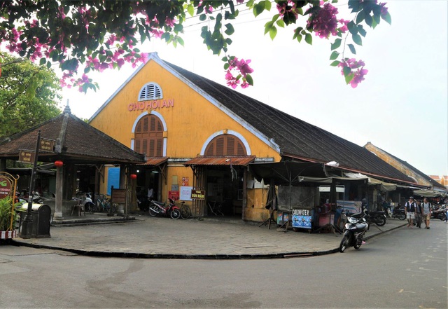 Những giàn hoa giấy Hội An hồi sinh rực rỡ sau những ngày giông bão - 7