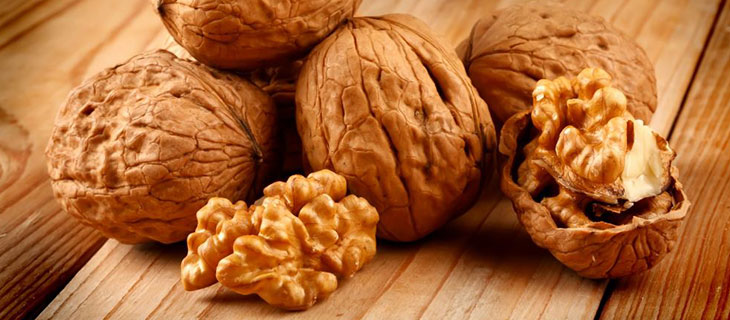 16 tác dụng của quả óc chó đối với sức khỏe có thể bạn chưa biết