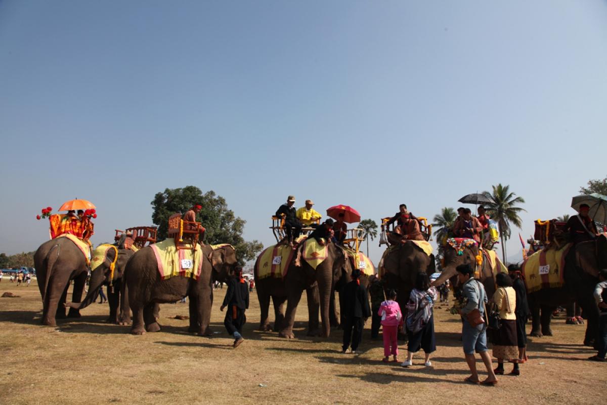 Lễ hội voi Xayaboury, Lào năm 2017. Ảnh: Mỹ Bình