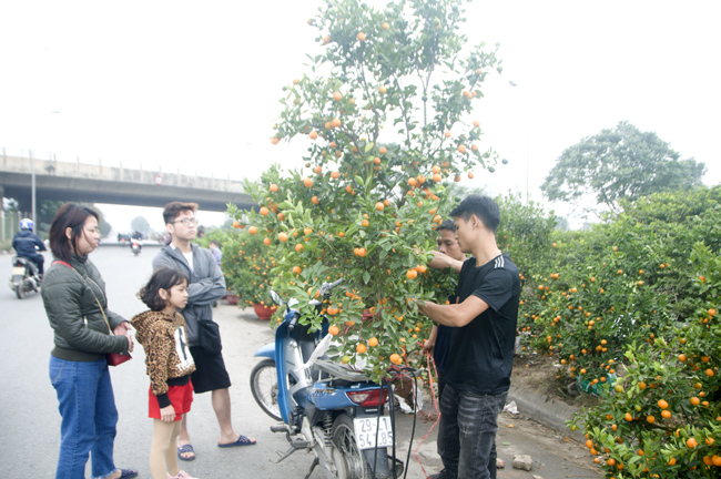 Tấp nập mua sắm tap nap mua sam