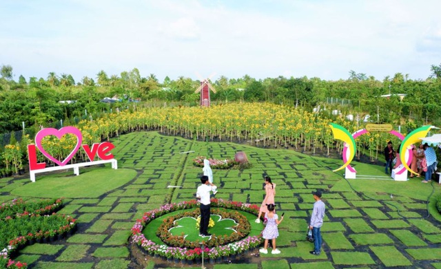 Vườn hoa hướng dương lớn nhất TP Sa Đéc mê hoặc người dân miền Tây - 3