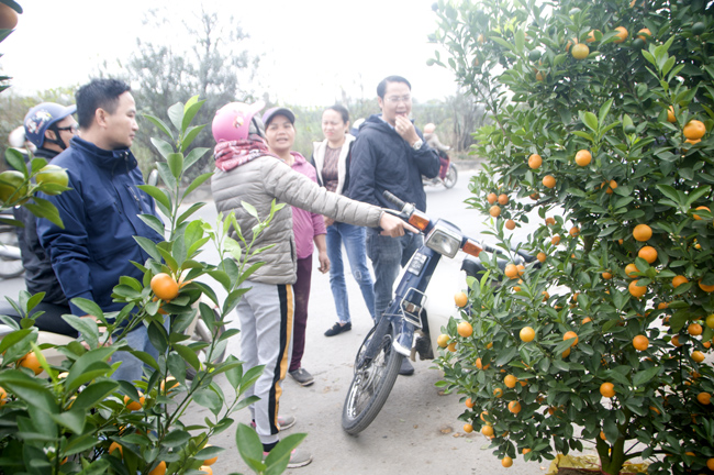 Tấp nập mua sắm tap nap mua sam