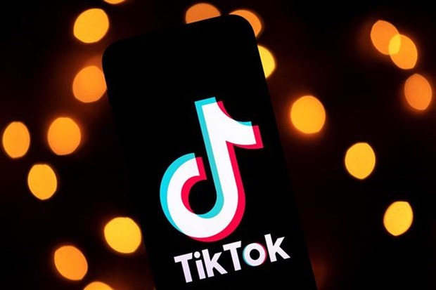 TikTok xoa 2,4 trieu video cua nguoi dung Viet Nam co noi dung vi pham hinh anh 1