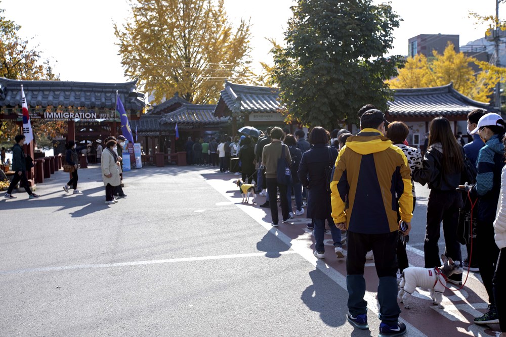 Han Quoc: Dao Nami tro thanh diem hut khach du lich thoi ky hau COVID hinh anh 9