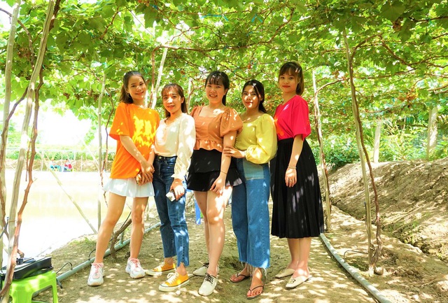 Chàng trai hô biến đất lúa thành vườn nho trĩu quả mê hoặc du khách - 3