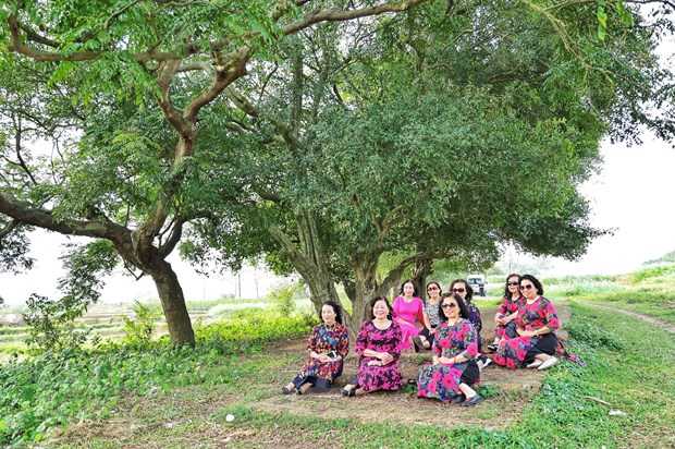 [Photo] Dung duoi vom duoi di san doc dao o xu Doai may trang bay hinh anh 9