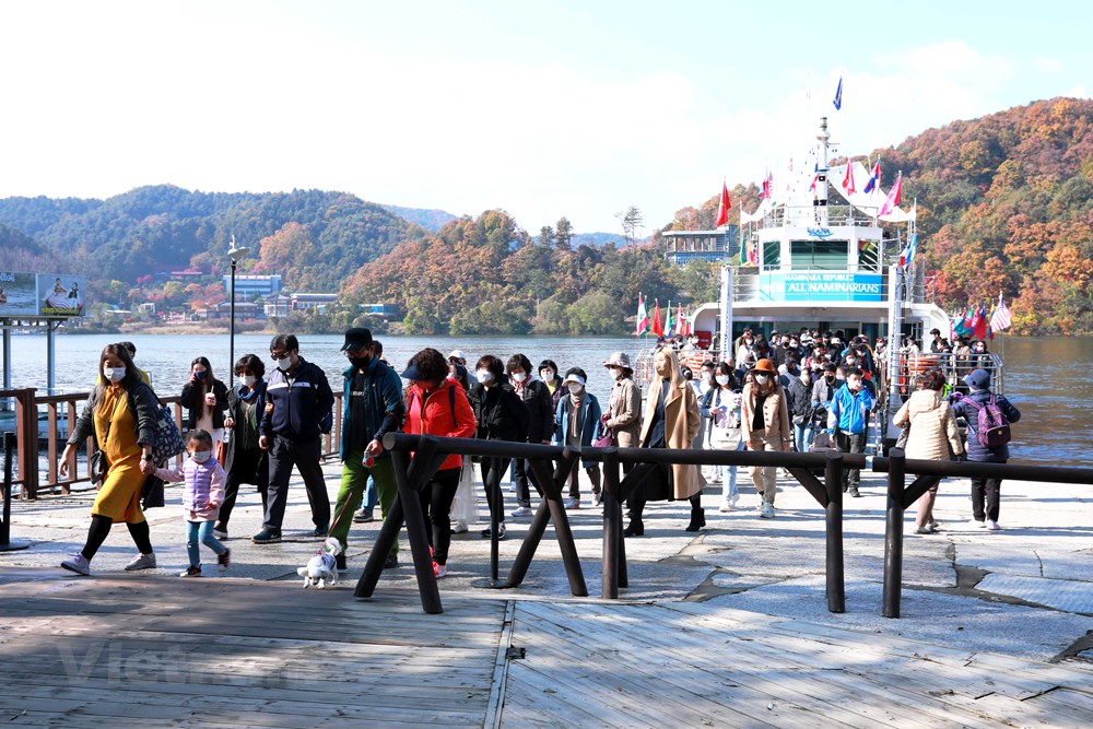 Han Quoc: Dao Nami tro thanh diem hut khach du lich thoi ky hau COVID hinh anh 8