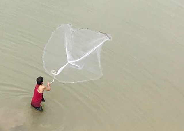 dac san hiem ca chach cat o vung nui: co tien chac gi da mua duoc hinh anh 3