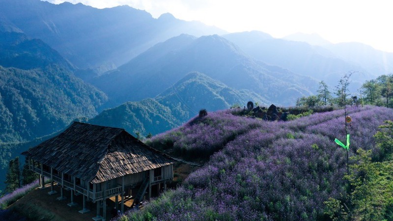 fansipan dep me hoac mua nang moi, gia ve cap treo giam 250.000 dong hinh 5