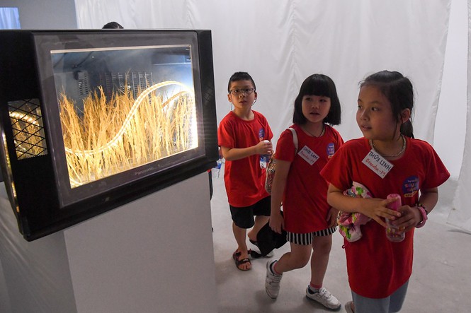 Con ngÆ°á»i á» ÄÃ¢u trong âhÃ nh tinh cá»§a nhá»±aâ?  - áº£nh 10