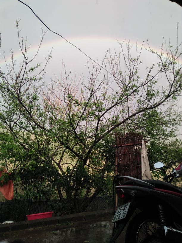 lai chau: mua da du doi, hoa mau cua ba con bi tan pha toi ta hinh anh 1