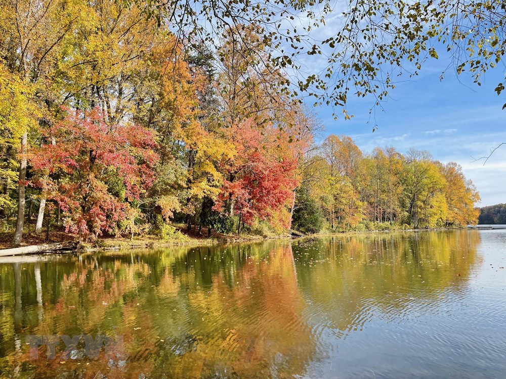 [Photo] Dam minh trong khong gian mua Thu vang o nuoc My hinh anh 9