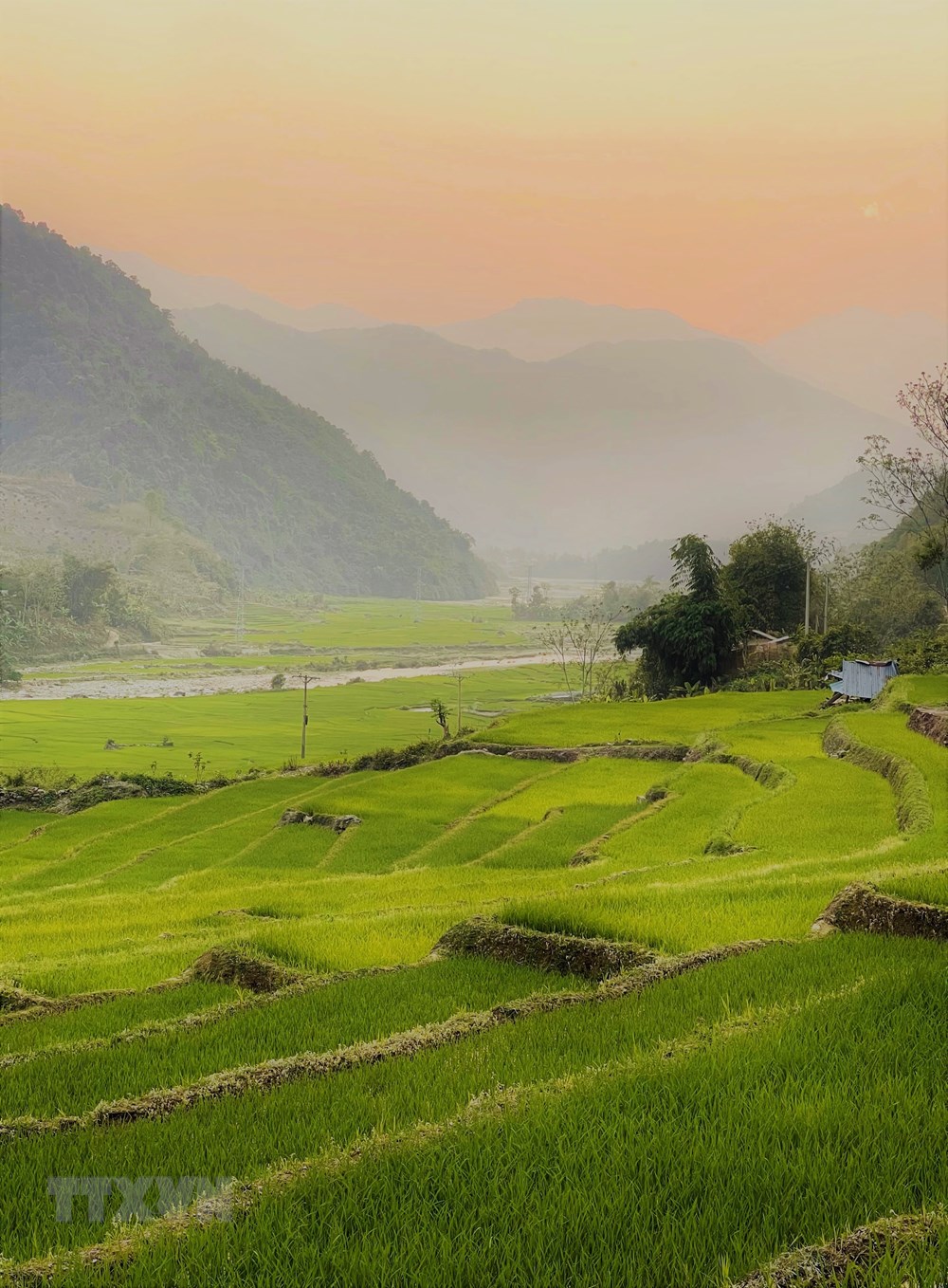 [Photo] Ve dep ruong bac thang mua ma non noi bien gioi Lai Chau hinh anh 7
