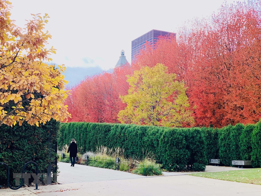 [Photo] Dam minh trong khong gian mua Thu vang o nuoc My hinh anh 13