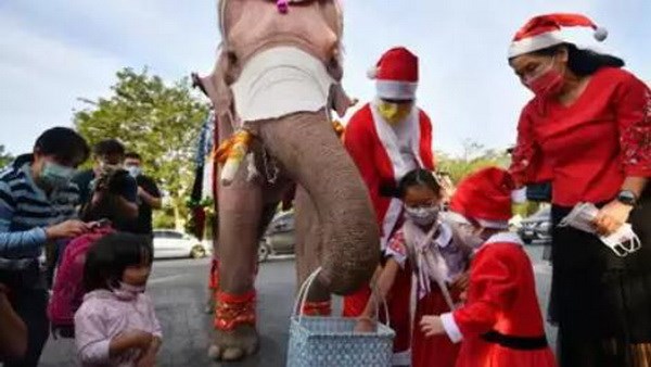 Doc dao hinh anh chu voi phat qua Giang sinh tai Thai Lan hinh anh 1