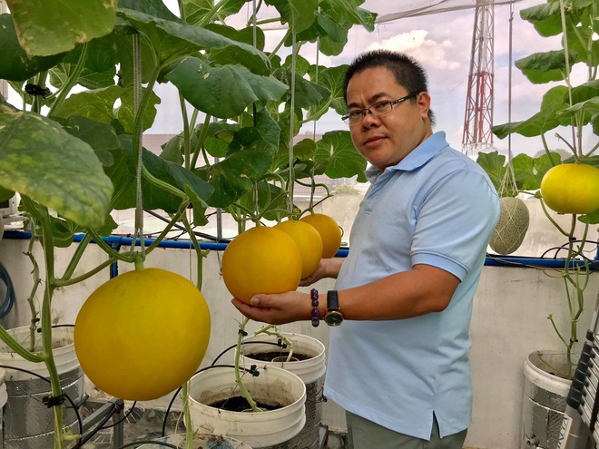 Mê mẩn vườn treo sân thượng, thu 4 tạ quả/ năm của ông bố ở Bình Dương - 4