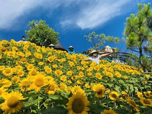 Nhiều trải nghiệm bất ngờ được các điểm đến Sun Group chuẩn bị để chào đón khách trở lại - Ảnh 9.