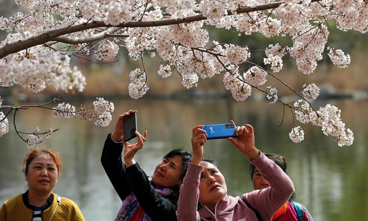 Tại công viên Ngọc Uyên Đàm (Bắc Kinh, Trung Quốc), người dân thích thú chụp ảnh hoa anh đào nở rục rỡ. Nguồn: AP